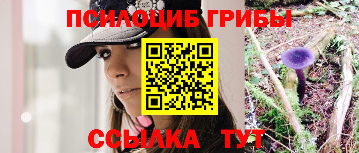Псилоцибиновые грибы Magic Shrooms  Псилоцибиновые грибы MAGIC MUSHROOMS  Вход с VPN  Горячий Ключ 